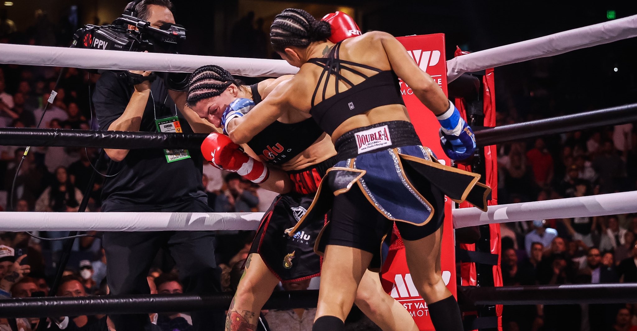A_Guide_to_Women's_Boxing_and_More_News.jpg